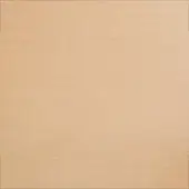 Beech wood surface, light beige tone, natural grain patterns, smooth matte texture, even diffused lighting, consistent fine detail.