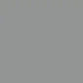 Gray closed pore lacquer swatch, x02 pomice, displaying a matte, uniform mid-tone color with subtle ozzio branding text.