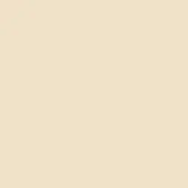 Ivory closed pore lacquer surface, smooth matte finish, consistent pale tone, neutral background texture from the Ozzio x19 collection.