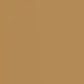 Earthy brown color field, matte finish, uniform tone, consistent surface, neutral composition, simple background, swatch sample, solid color.
