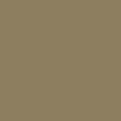 Muted coffee cream color field, matte beige tone with gray undertones, consistent solid surface, neutral background composition.