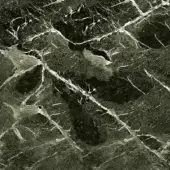 Verde Alpi marble texture, glossy green surface with dense white veining, polished stone sample displaying organic patterns.