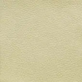 Soft leather texture in ecru with a dense, pebble-grain pattern and matte finish; “ozzio” label visible in the lower right corner.
