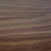Canaletto walnut wood texture displaying warm brown tones and horizontal grain, featuring a smooth polished surface with subtle tonal variations.
