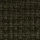 Olive green fabric sample displaying a dense, irregular weave and matte finish with a heathered, granular texture; identified as Iris 801.