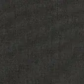 Kvadrat canvas textile, dark charcoal gray, dense weave with heathered texture and matte finish, identified as Canvas 2 364.