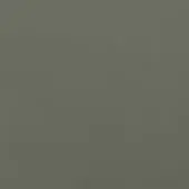 Dark mud leather swatch with matte finish, displaying a uniform texture and earthy tone; lapalma c7 color sample shown.