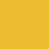 Mustard powder coating, matte yellow surface, uniform color sample with diffuse lighting and no texture, representing a flat, consistent finish.