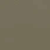 Olive-green textured surface, possibly woven fabric or embossed leather, displaying a granular quality and consistent, muted coloration.