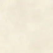 Ivory stoneware texture with mottled creamy beige tones, featuring subtle veining and a smooth matte finish against a white backdrop.
