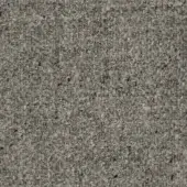 Agamotto fabric texture, muted gray woven material, dense irregular pattern with subtle tonal variations and a nubby surface.