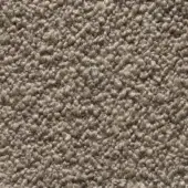 Orsetto fabric sample, taupe looped pile texture, irregular fiber height, matte finish, Cierre1972 collection, category 2 textile.