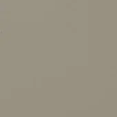 Champagne metal texture with matte finish, grainy surface, and tonal variations; neutral color palette for design applications.
