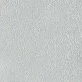 Light gray leather texture with dense, irregular grain and subtle reflectivity; natural, porous quality; Cierre1972 Romana 102 leather.