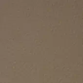 Cougar leather texture, warm tan with pebbled surface, displays a dense pattern of small bumps and a matte finish.