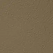 Cougar leather texture, warm tan color, dense pebbled grain with matte finish and subtle tonal variations for a natural appearance.