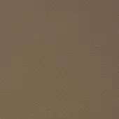 Full-grain leather texture sample, light tan color, granular surface with visible pores, matte finish, labeled “windsor” collection.