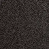 Dark gray Windsor 21 leather texture with a granulated, pebble-like pattern and matte finish, displaying a dense network of intersecting lines.
