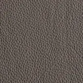 Gray leather texture with a fine, pebbled pattern and subtle indentations; features “windsor 97” branding, uniform medium gray tone.