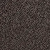 Brown leather texture with pebble-grain pattern, medium tone, matte finish, and Windsor 99 grain detail for upholstery applications.