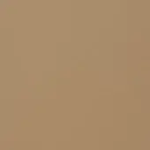 Tan leather texture with fine grain pattern, warm neutral tone, and matte finish displayed against a plain background.