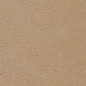 Beige nubuck leather texture with a dense, irregular grain and matte finish, displaying a consistent color and velvety surface appearance.