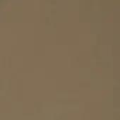 Natural velour texture sample, warm brown matte finish, dense granular pile, subtle shading variations, organic taupe tone.