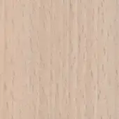 White aniline beechwood texture displaying a straight grain pattern and smooth matte finish, with pale creamy beige tone variations.