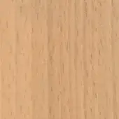 Beechwood texture sample, light beige tone, fine vertical grain, smooth matte finish, consistent wood structure, white background.
