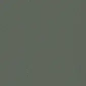 Dark gray matte paint texture with subtle vertical grain, muted cool tone with green undertones, even lighting, neutral background.