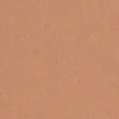 Terracotta fabric swatch with granular woven texture, displaying color code 61035 from the bross fabric (b) focus collection.