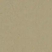 Beige fabric texture sample displaying a consistent, granular surface with subtle tonal variations and a matte finish, labeled “Bross col. 61040”.