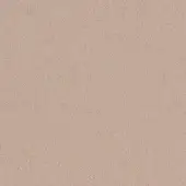 Beige fabric swatch with mottled texture, woven matte finish, and granular surface; label reads "bross > fabric (b) focus > col. 64045".