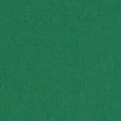 Green fabric sample with woven texture, matte finish, and a white label reading “bross fabric (b) focus col. 68048” in the lower right.