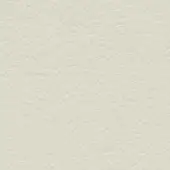 Beige leather texture with a dense, irregular pebbled pattern and matte finish; subtle imprinted text reads “bross > fabric (std) skill > col.”