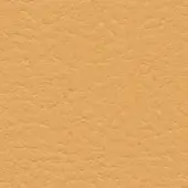 Tan leather texture with a dense, pebbled pattern and consistent warm tone, displaying “bross > leather > col. 210” text detail.
