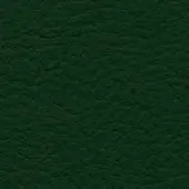 Dark green leather texture with a consistent, pebbled grain and matte finish; natural leather appearance with tonal variations, col. 217.
