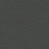 Dark gray leather texture with granulated surface, matte finish, and visible grain; “bross leather col. 220” text in lower right.