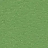 Light green leather texture with a granular, pebbled pattern; matte finish, consistent surface, labeled “bross > leather > col. 223.”