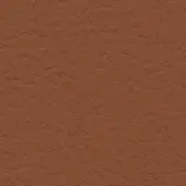 Brown leather texture sample with mottled, irregular patterns and a matte finish, identified as “bross > leather > col. 245.”