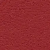 Red leather texture with irregular bumps, labeled “bross > leather > col. 285”, showcasing a saturated, muted tone and consistent surface detail.