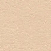 Light beige leather texture with a granular, pebbled surface and subtle mottling, displaying a natural grain and matte finish.