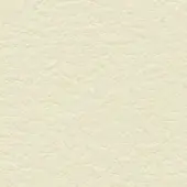 Off-white leather texture with a pebbled grain, subtle sheen, and warm ivory tone; brand text “bross > leather > col. 342” in lower right.