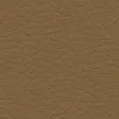 Brown leather texture with mottled bumps, matte finish, and natural grain; studio shot displaying “bross > leather > col. 343” text.