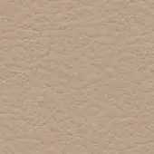 Beige leather texture with a granular, pebbled surface; full-grain material displays subtle creases and a matte finish, labeled “col. 360”.