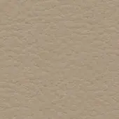 Light beige leather texture with irregular grain, matte finish, and pebbled surface; label reads "bross > leather > col. 365".