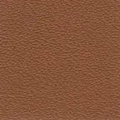 Brown leather texture with a fine dotted grain, displaying “bross > leather (d) sweet > col. 507” text, suitable for upholstery applications.