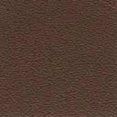 Brown leather texture sample with granular surface, displaying “bross > leather (d) sweet > col. 509” text, even lighting, fine dot pattern.