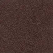 Dark brown leather texture sample, irregular grain pattern, matte finish, consistent density with subtle tonal variations, durable appearance.