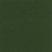 Olive green textured surface with mottled tone, displaying uneven plaster or paper effect; text reads “bross > leather (d) sweet > col. 553”.